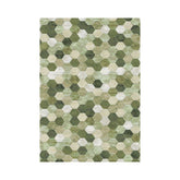 Covor verde din polipropilenă Argentum 63456 Ragolle 160x230