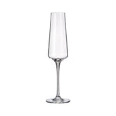 Set de 6 pahare pentru sampanie, transparent, din cristal de Bohemia, 160 ml, Winestar