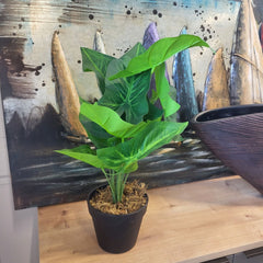 Planta artificiala 40 cm Colocazie