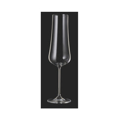 Set de 6 pahare pentru sampanie, din cristal de Bohemia, 260 ml, Aira Flute