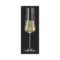 Set de 6 pahare pentru sampanie, din cristal de Bohemia, 260 ml, Aira Flute