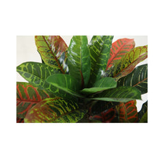 Planta artificiala 100 cm Croton