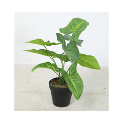 Planta artificiala 40 cm Colocazie