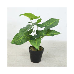 Planta artificiala 40 cm Colocazie