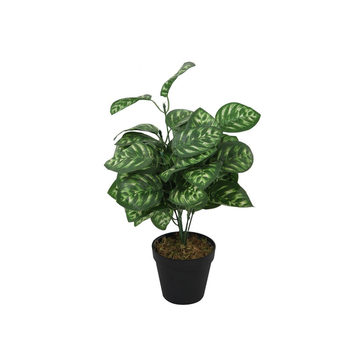 Planta artificiala 45 cm Calathee