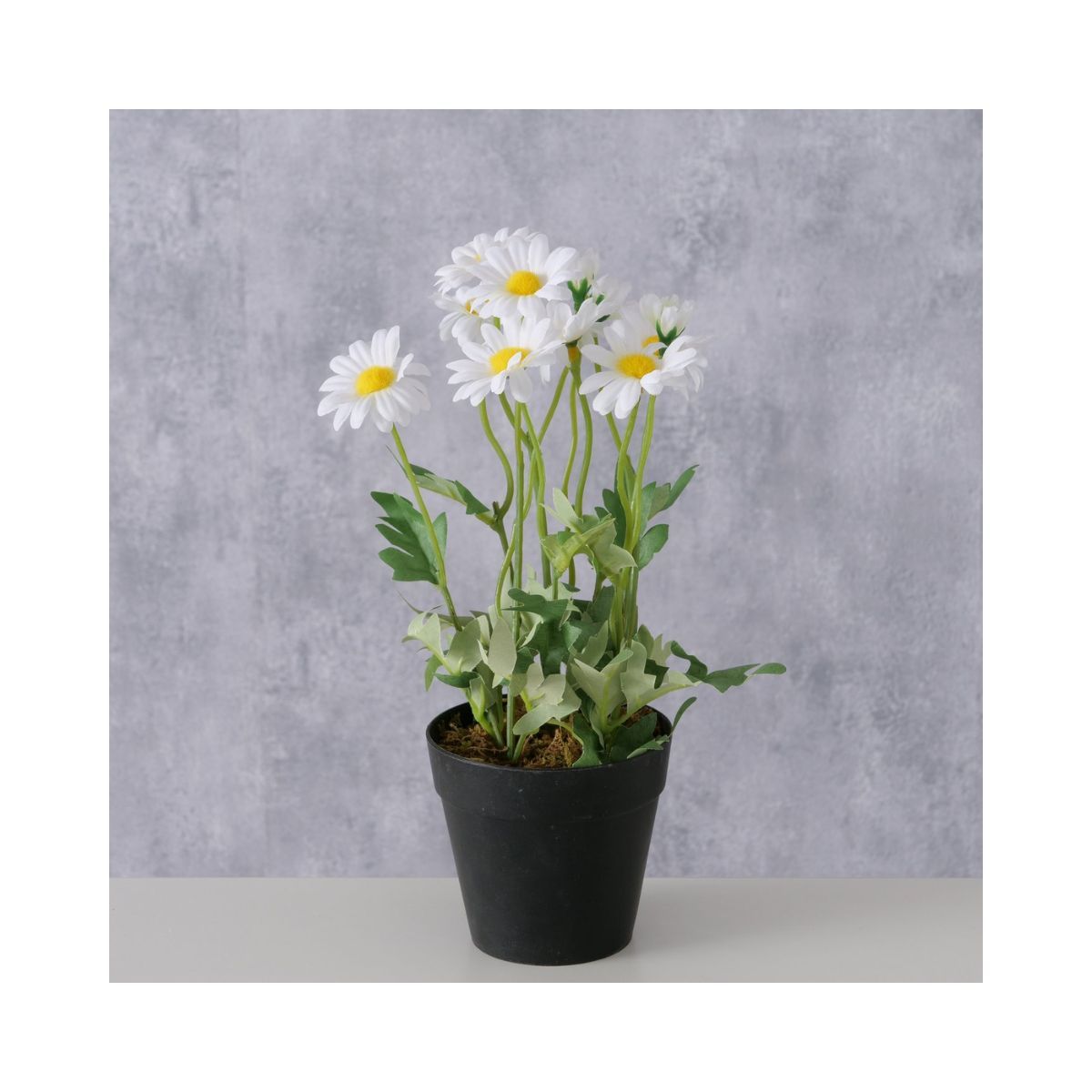 Planta artificiala in ghiveci, 28 cm, Daisy Boltze