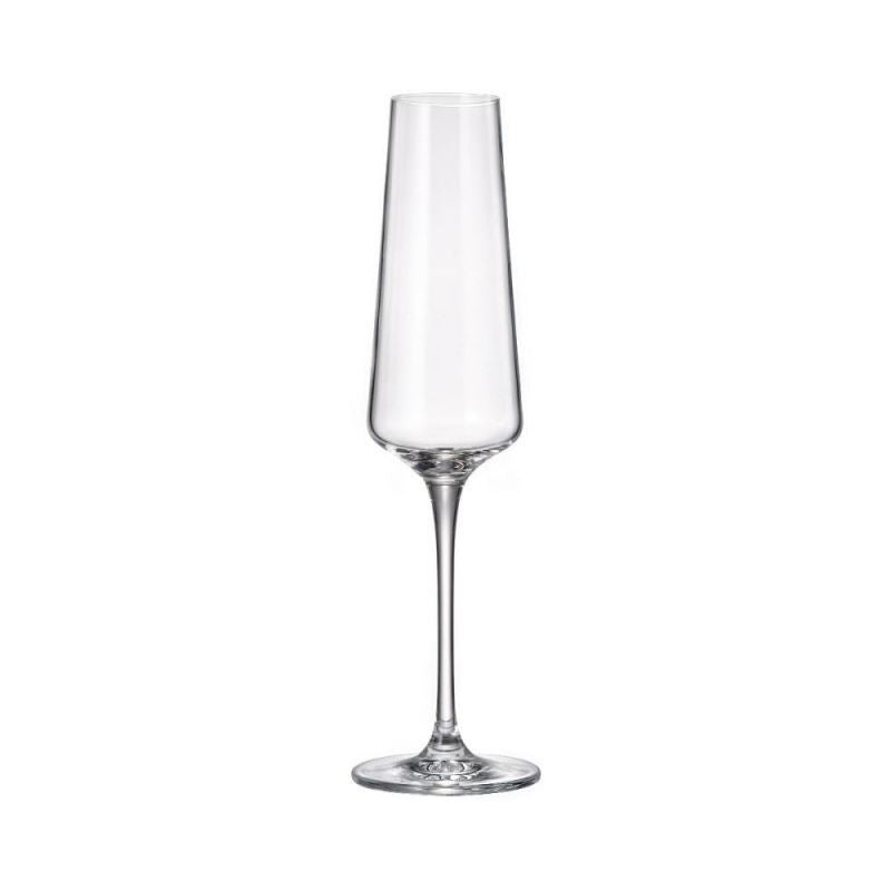 Set de 6 pahare pentru sampanie, transparent, din cristal de Bohemia, 160 ml, Winestar